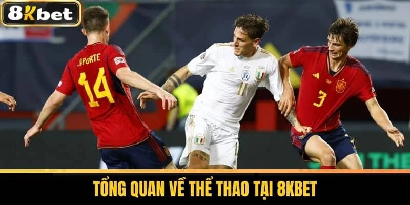 Cá cược thể thao tại 8kbet đầy hấp dẫn